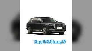 Hongqi E-HS9 SUV EV 7 places longue portée